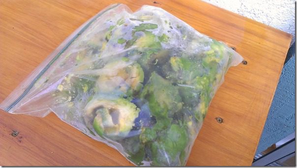 avocados in a bag (800x450)