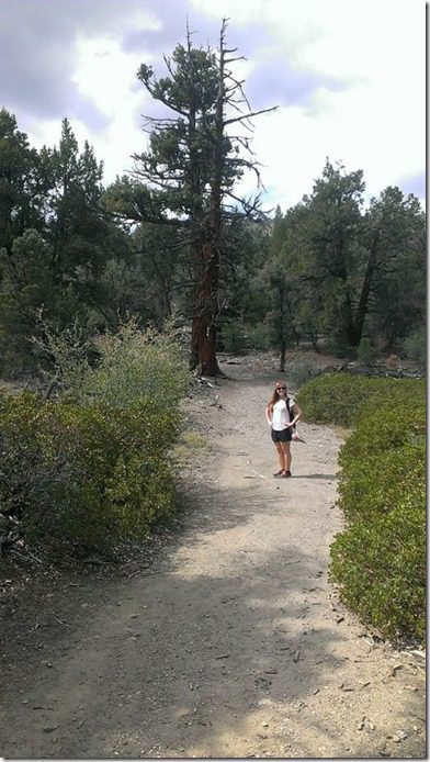 hiking in big bear (450x800)