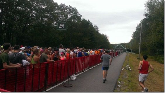 beach to beacon corral start line (800x450)