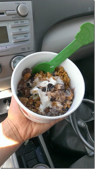 fro yo on wednesday (450x800) (3)