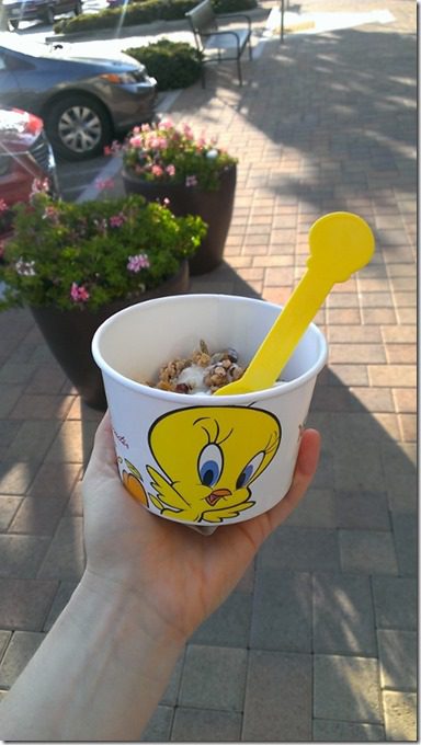 froyo for sure (450x800)