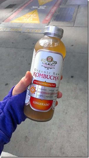 kombucha (450x800)