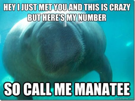 call me manatee