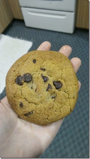 chocolate chip cookie (450x800)