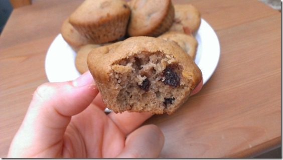 chocolate chip muffin (800x450)