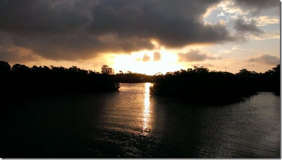 florida sun rise (800x450)