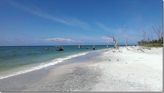 open water and beach (800x450)