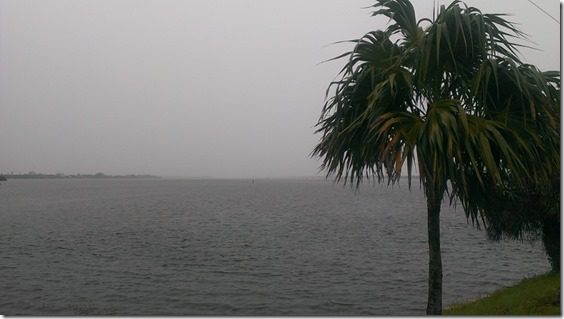 rainy day in Florida (800x450)