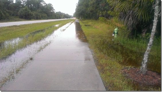 rainy florida sidewalk (800x450)