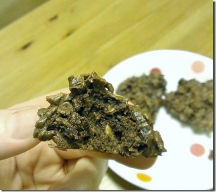 chocolate oatmeal cookies (450x800)