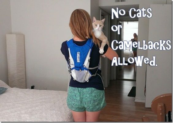 no cats or camelbacks at races