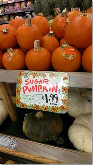 trader joes sugar pumpkins (450x800)