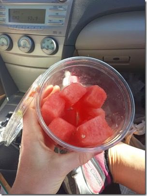 watermelon after run (376x501)