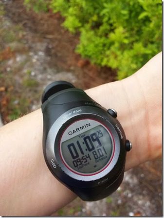 8 mile run on the garmin (376x501)