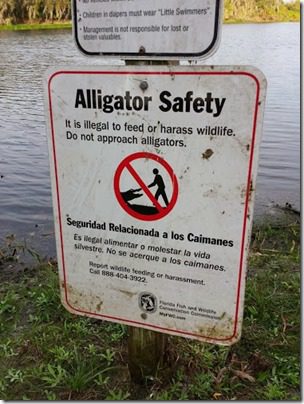 alligator safety (376x501)