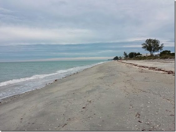 beach all to myself in florida (668x501)