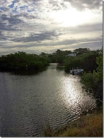 beautiful florida bay (376x501)