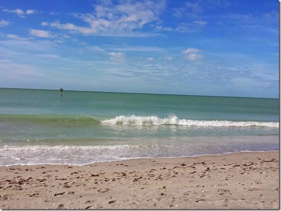 florida beach day (725x544)