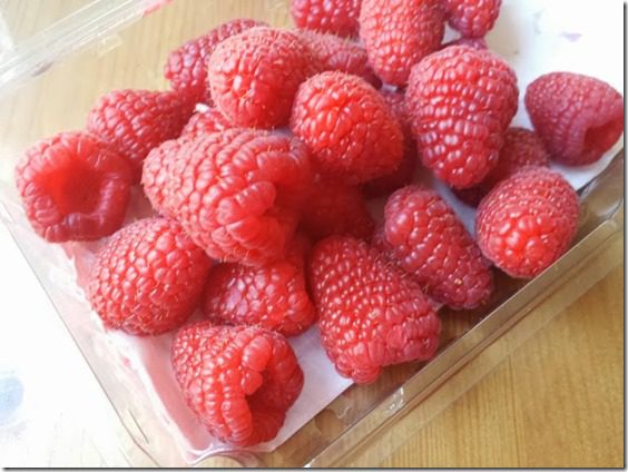 fuzzy raspberries (668x501)