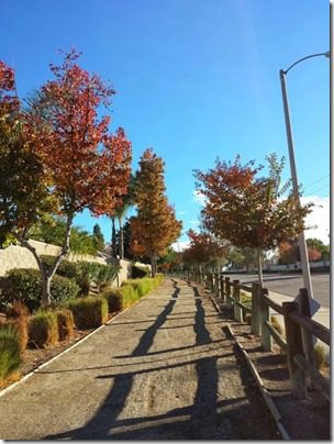 gorgeous day in socal (376x501)