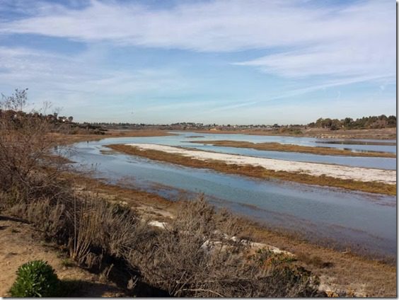 newport back bay loop running path (668x501)