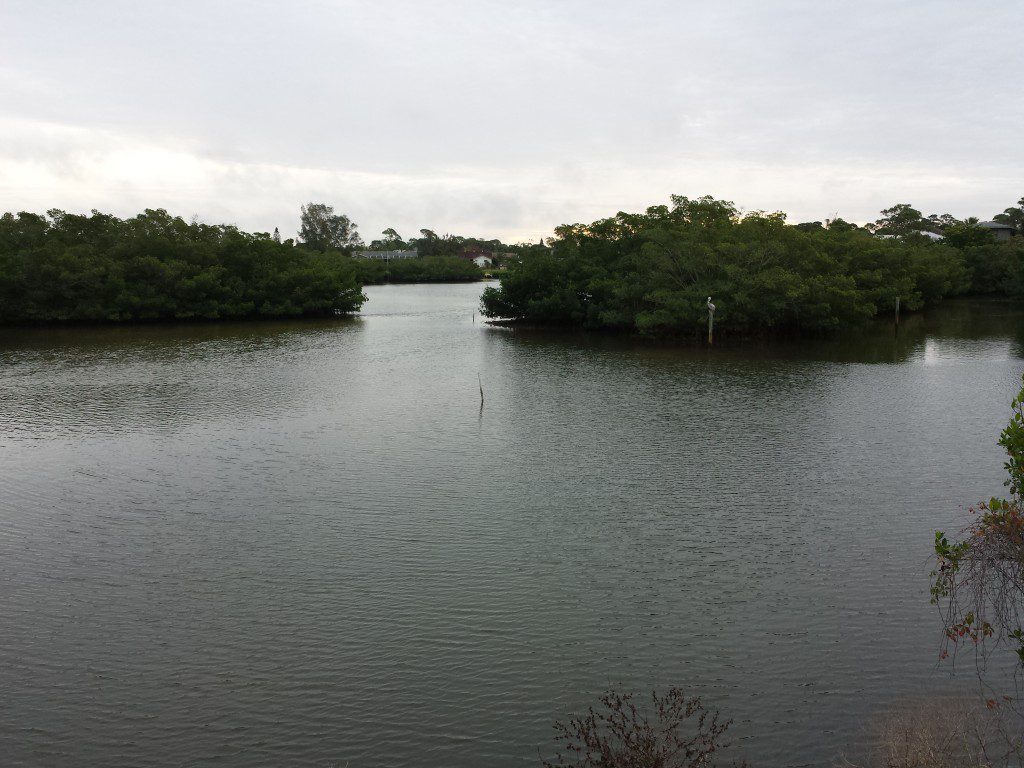 florida bay view 