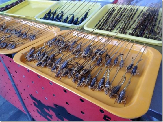 eating scorpion in china food blog