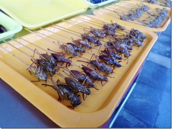 eating crickets in china food blog