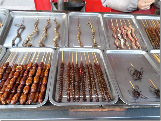 bugs on a stick in china