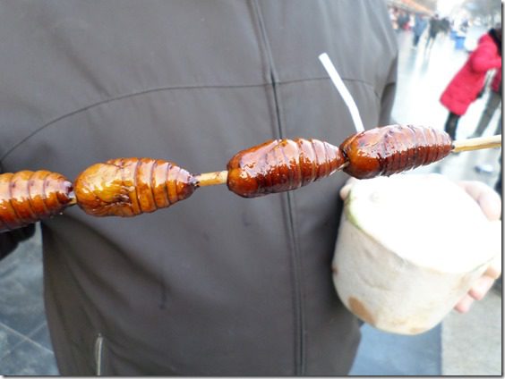 eating silk worms in china