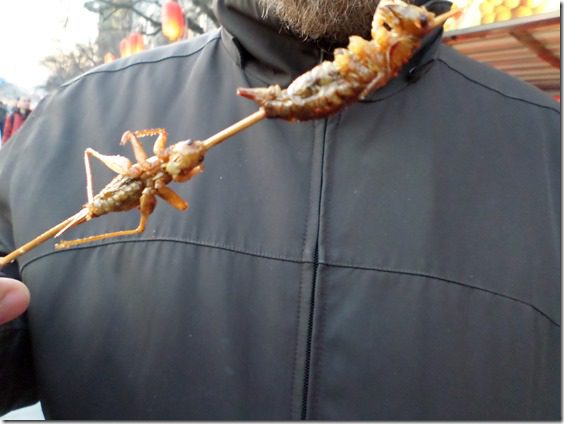 eating crickets on snack street in china