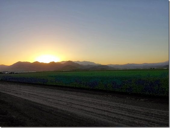 camarillo marathon course flat and fast if not for wind (668x501)