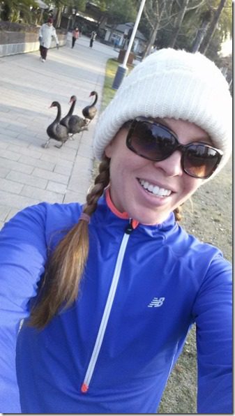 run in china with black swans (450x800)