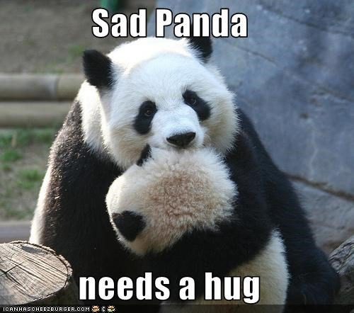 sad panda needs a hug