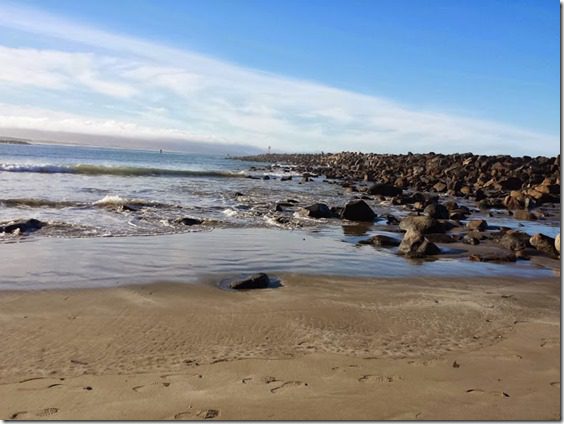 beautiful beach morning morro bay (669x502)