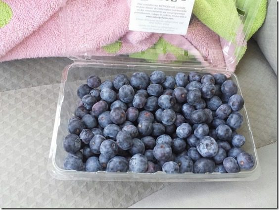 blueberries to go (727x545)