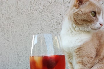 Motivation to Run and Easy Sunday Sangria Recipe Motivation to Run and Easy Sunday Sangria Recipe