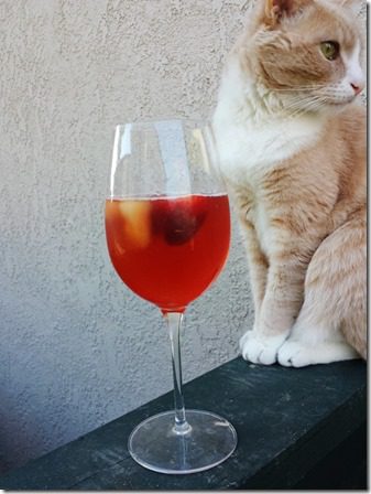 cat guarding my sangria (600x800)