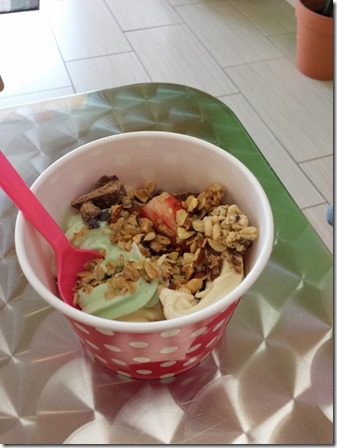 fro yo in paso robles travel food blog (600x800)