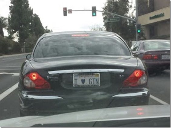 i love gin license plate (669x502)