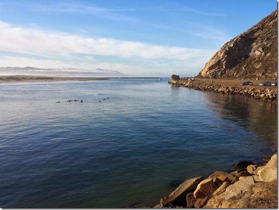 otters in morro bay (669x502)