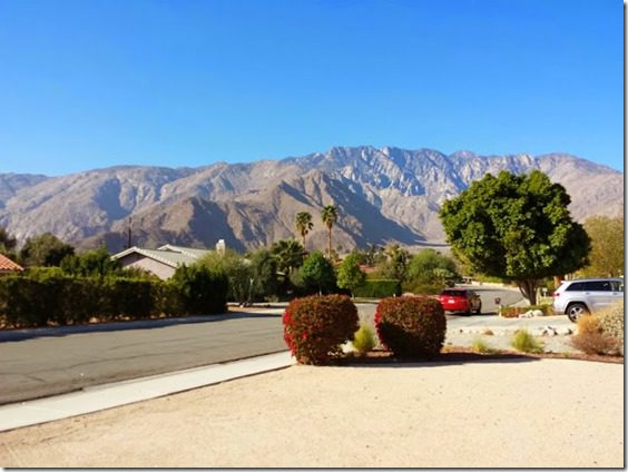 palm springs half marathon recap running blog (669x502)