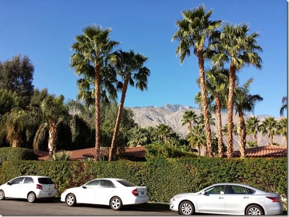 palm springs half marathon recap running review (669x502)