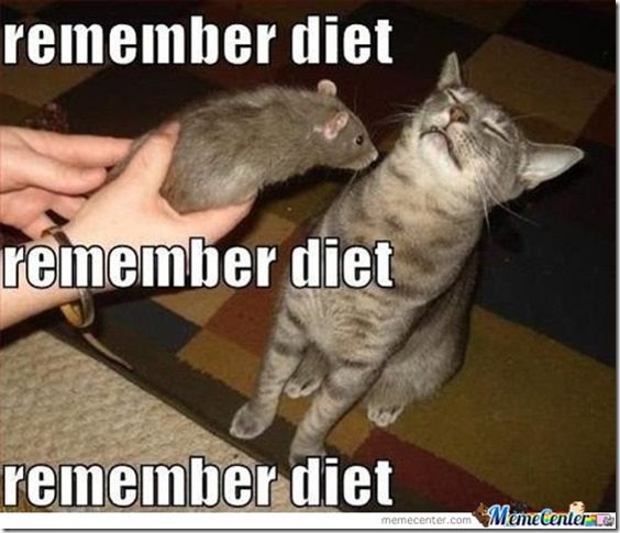 remember your diet