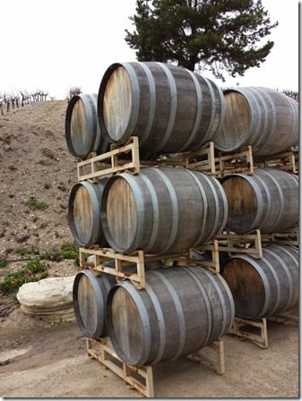 wine barrels in paso robles california food blog (600x800)