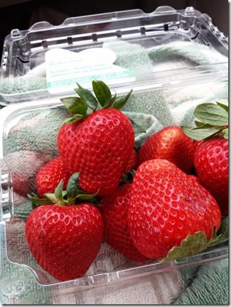 ca strawberries (600x800)