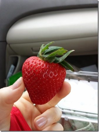 ca strawberries in the car (600x800)