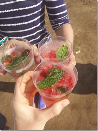 california strawberry farm visit blogger cheers (600x800)