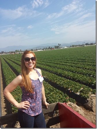 california strawberry farm visit hayride (600x800)