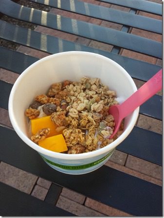 frozen yogurt (600x800)